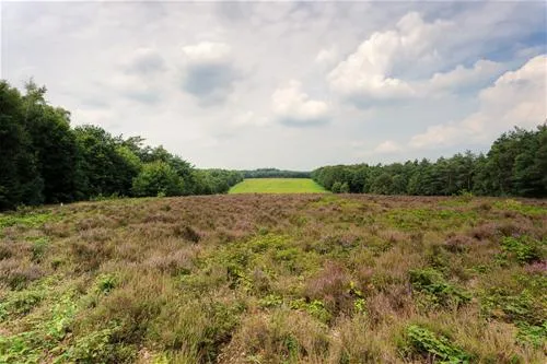 landgoed-de-scheleberg-lunteren-yogam