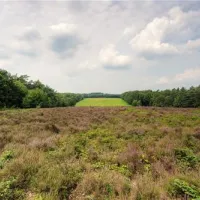 landgoed-de-scheleberg-lunteren-yogam