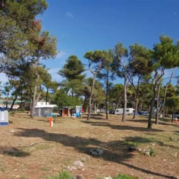 Camping Indije