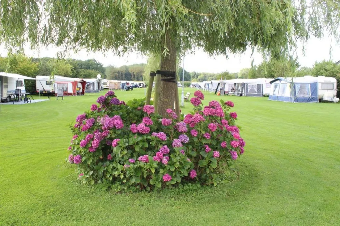 camping-de-gijzel-helvoirt-zof0p