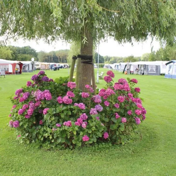 camping-de-gijzel-helvoirt-zof0p