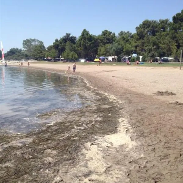 camping-villaggio-turistico-europa-grado-wmbx9