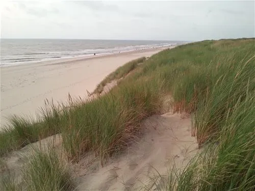 texelcamping-kogerstrand-texel-de-koog-bjc1x