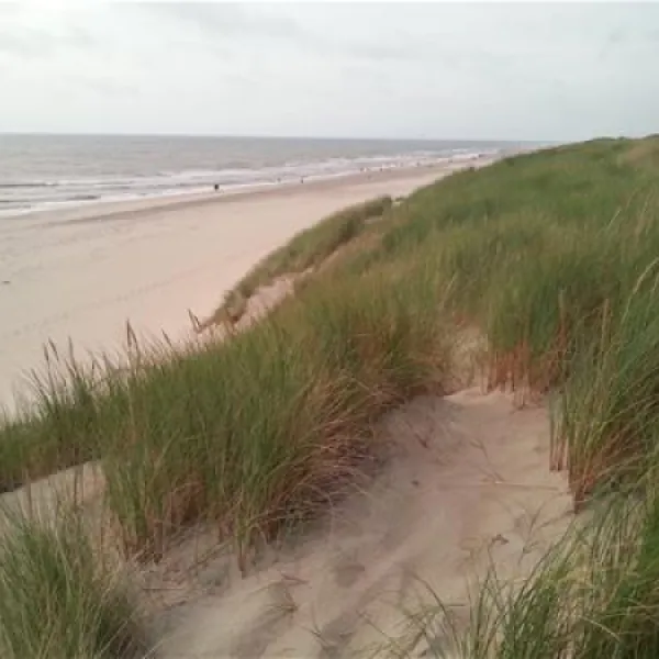 texelcamping-kogerstrand-texel-de-koog-bjc1x
