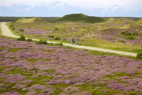 texelcamping-kogerstrand-texel-de-koog-ls9z4