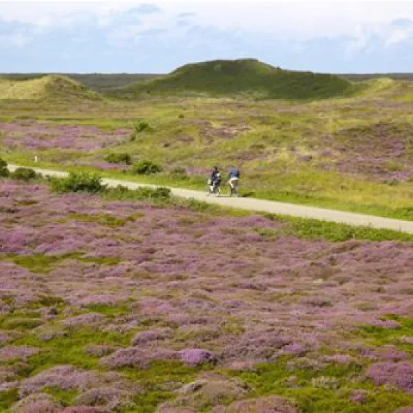 texelcamping-kogerstrand-texel-de-koog-ls9z4