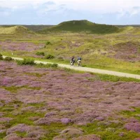 texelcamping-kogerstrand-texel-de-koog-ls9z4