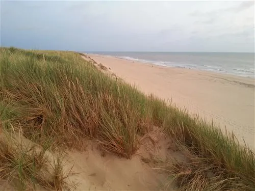 texelcamping-kogerstrand-texel-de-koog-vo58m