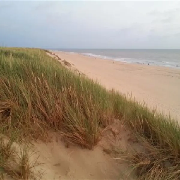 texelcamping-kogerstrand-texel-de-koog-vo58m