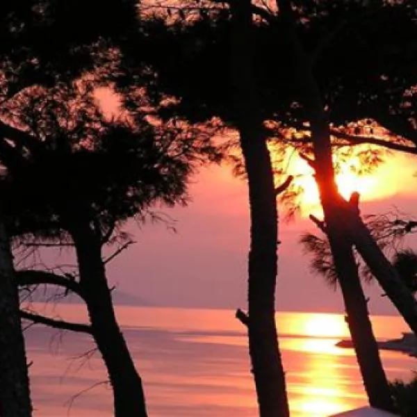 camping-sirena-omis-x544w