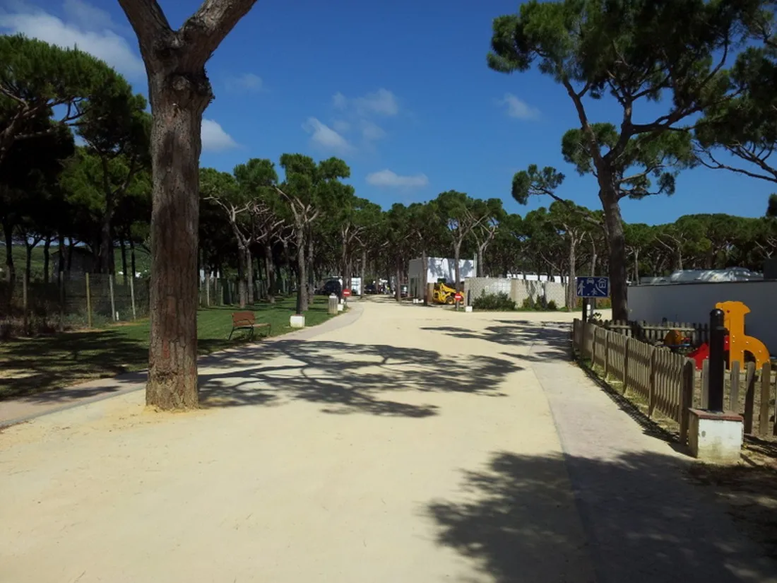 camping-pinar-san-jos-cdiz-7fwp7