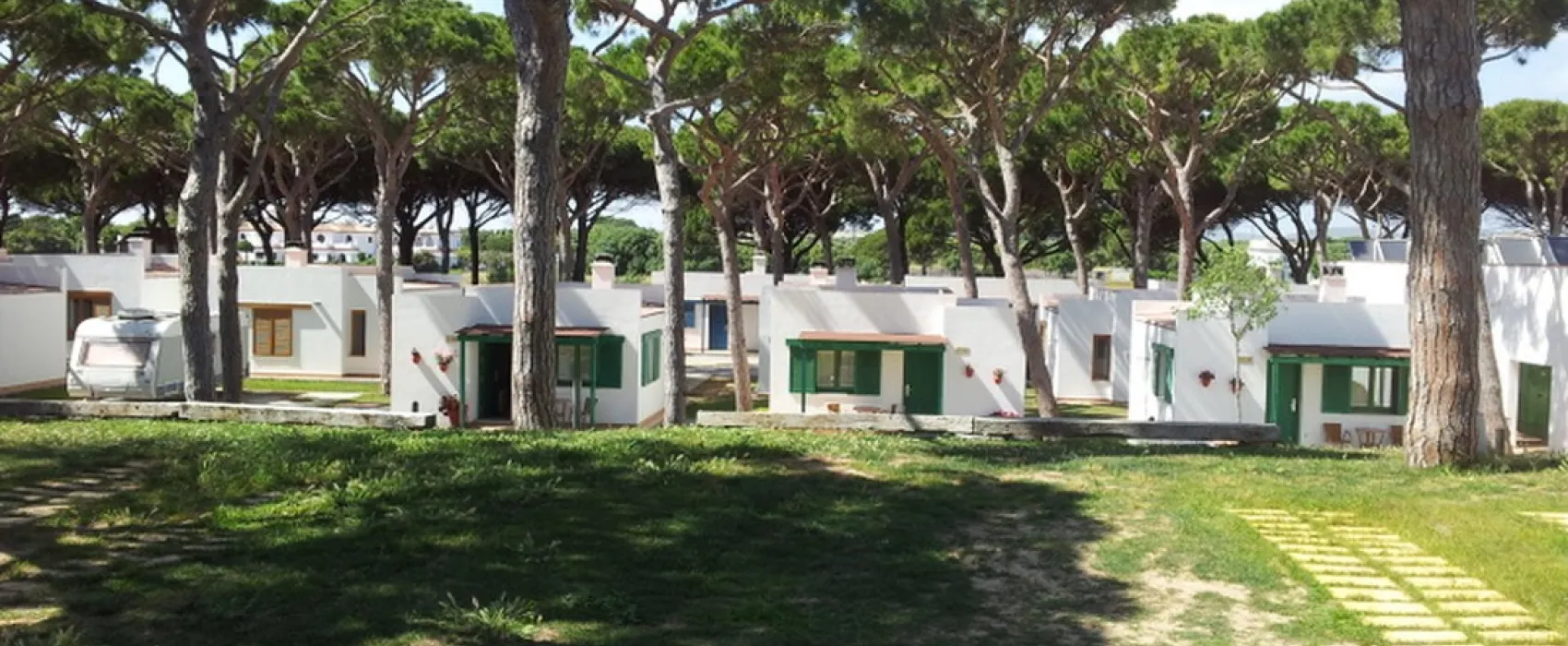 Camping Pinar San José