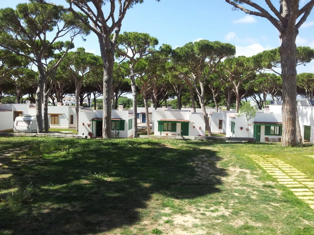 camping-pinar-san-jos-cdiz-hmizq