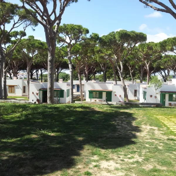 camping-pinar-san-jos-cdiz-hmizq