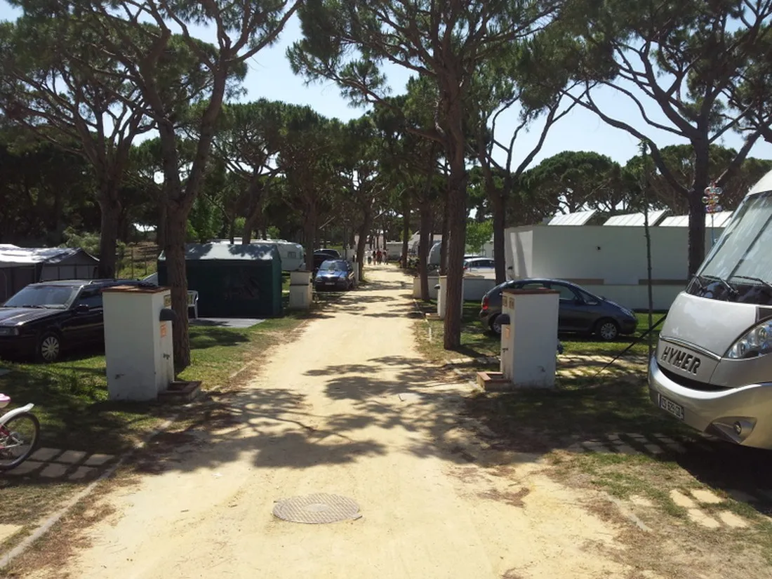 camping-pinar-san-jos-cdiz-iycxp