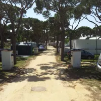 camping-pinar-san-jos-cdiz-iycxp