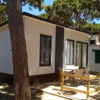 Camping Pinar San José