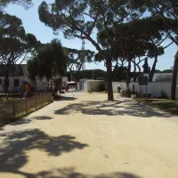 camping-pinar-san-jos-cdiz-nhwno