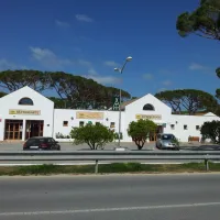 camping-pinar-san-jos-cdiz-trt2o