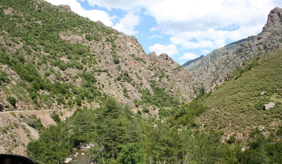 camping-le-restonica-corte-hzdkp