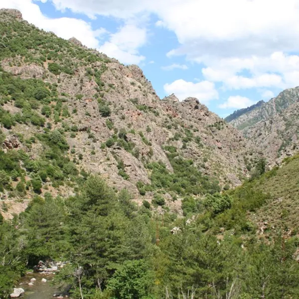 camping-le-restonica-corte-hzdkp