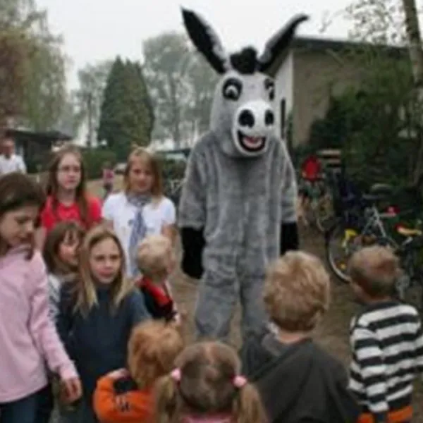 erholungszentrum-gravinsel-weselflren-lxckt