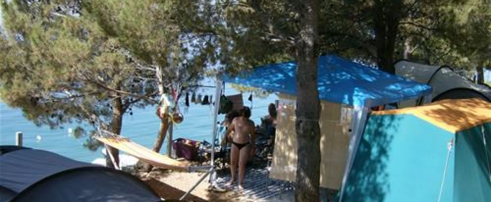 Camping Pinus