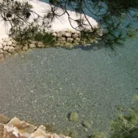camping-pinus-starigradpaklenica-n0drw