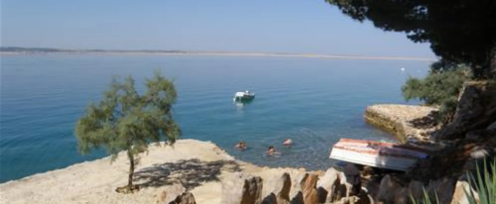Camping Pinus