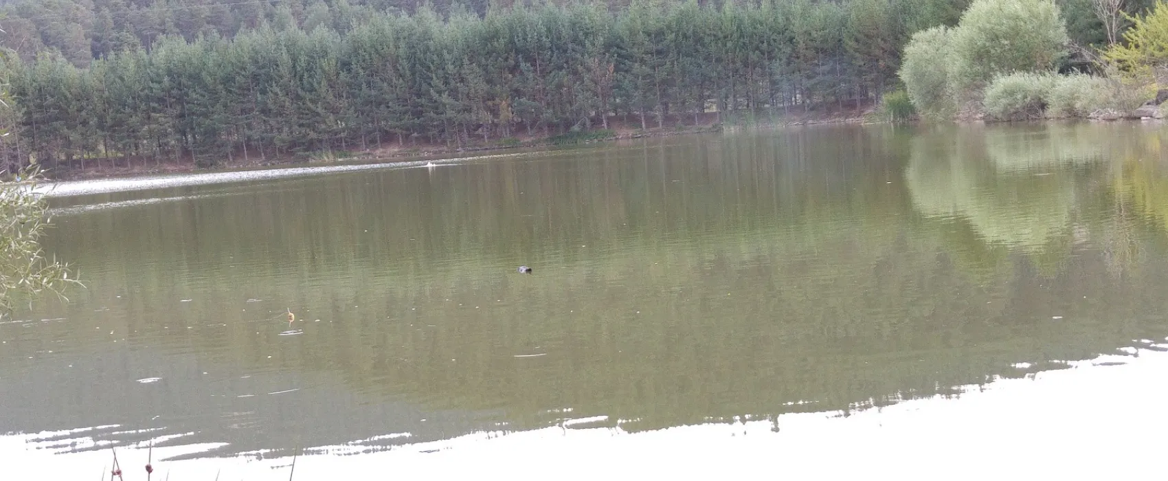 Yayla Camping