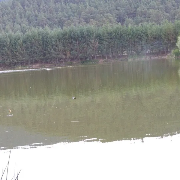 yayla-camping-akyarma1-yx9pr