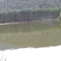 Yayla Camping
