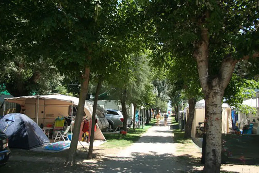 stork-camping-village-cologna-spiaggia-dcl4g