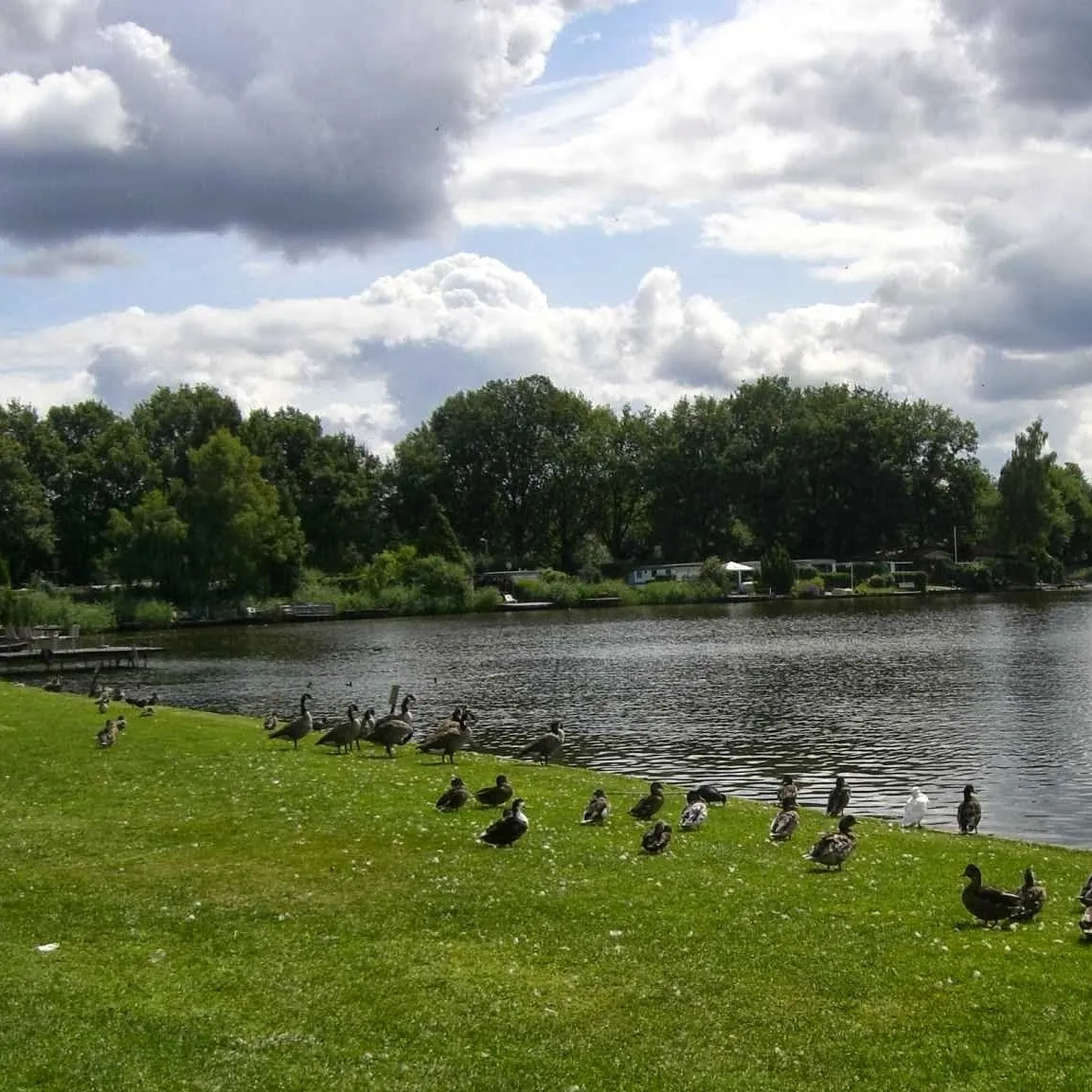 camping-de-zwaaikom-hengelo-ov-64j5j