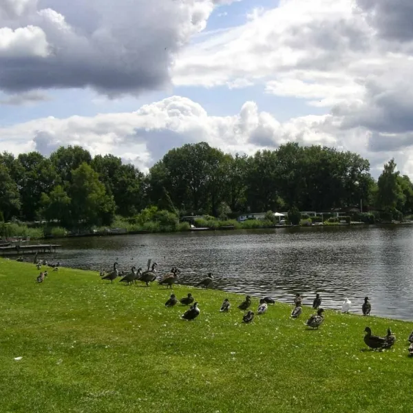 camping-de-zwaaikom-hengelo-ov-64j5j