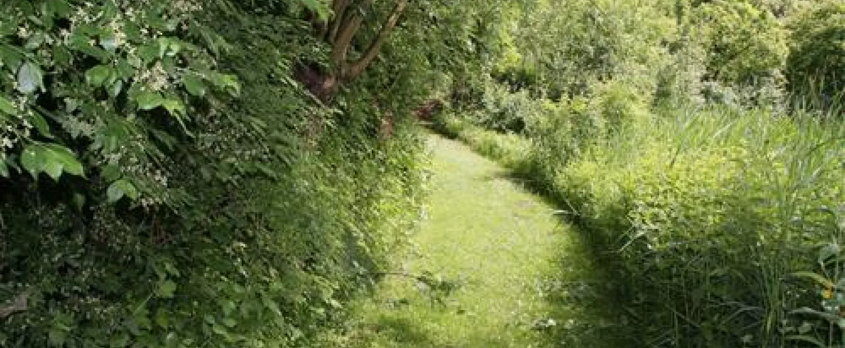 Camping Sattva