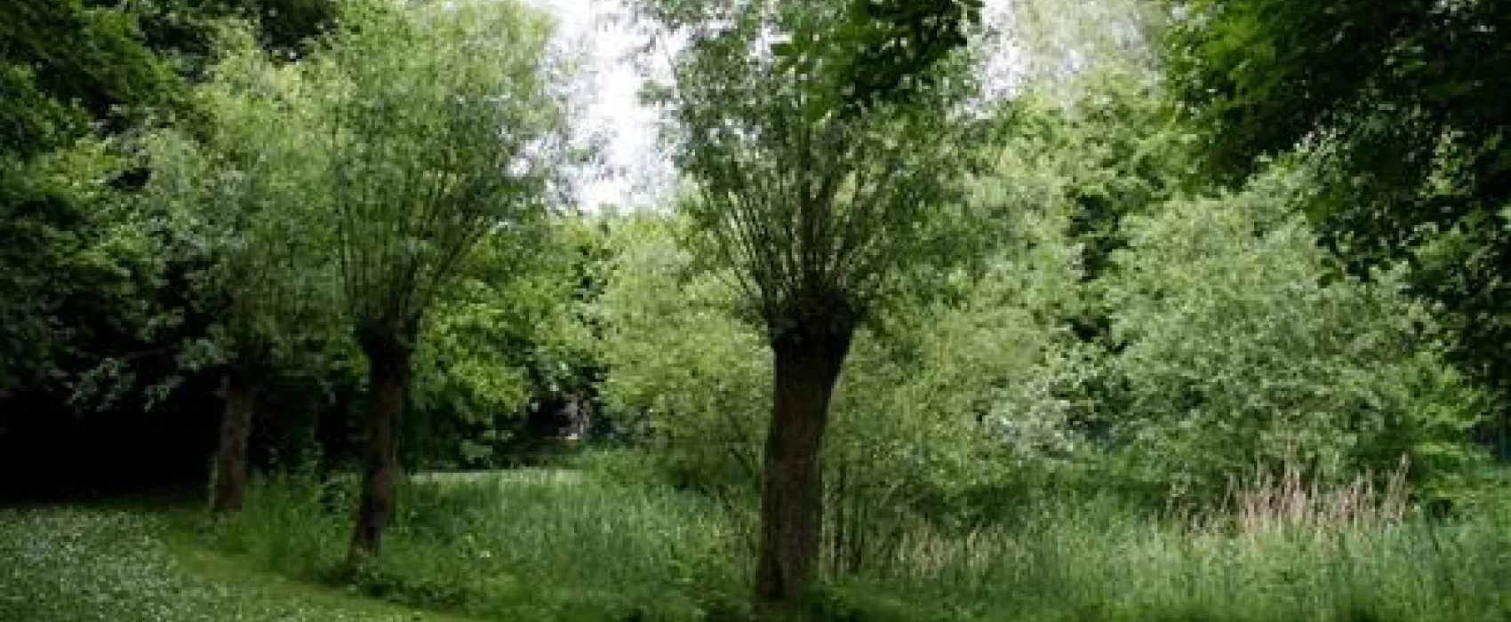 Camping Sattva