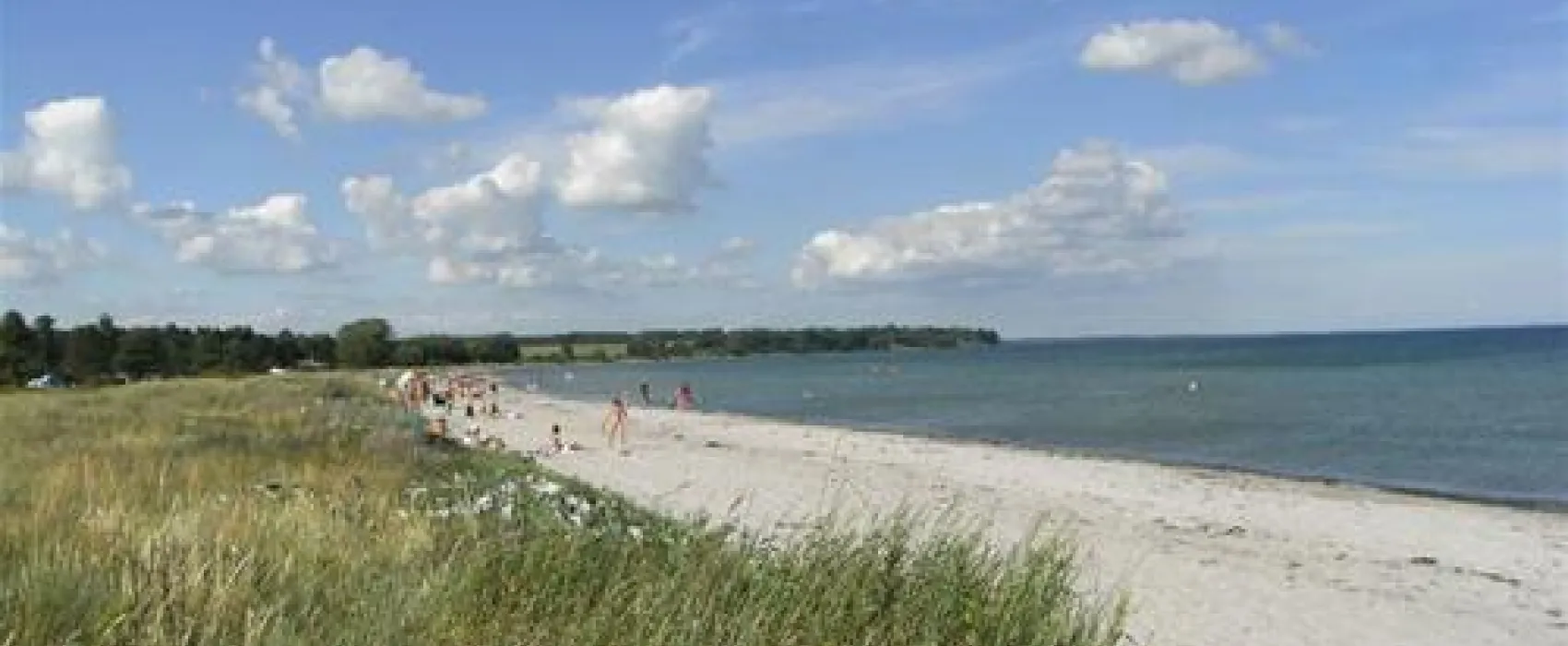 Feddet Camping