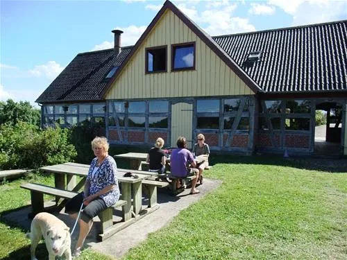 vammen-camping-tjele-dqajc