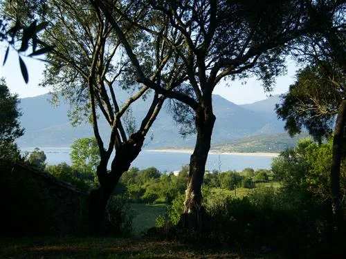 camping-lecci-e-murta-propriano-lkmpe