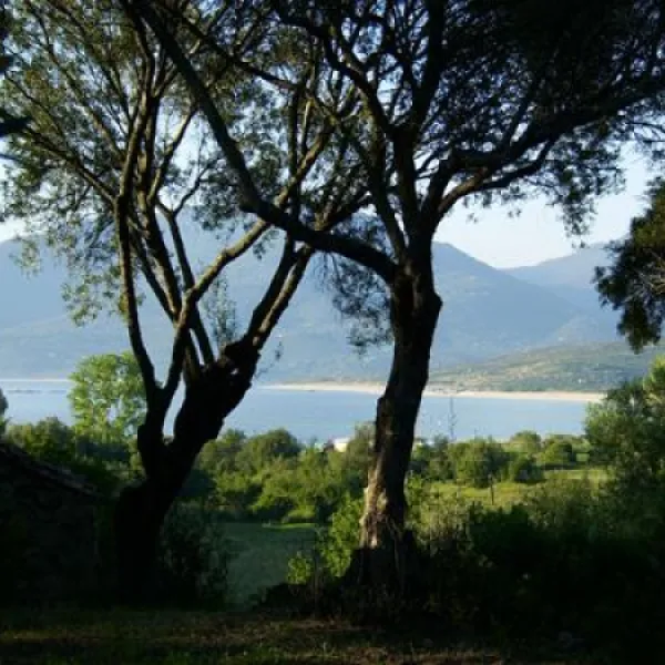 camping-lecci-e-murta-propriano-lkmpe