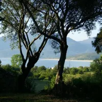 camping-lecci-e-murta-propriano-lkmpe