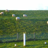camping-zeestrand-eemsdollard-termunterzijl-gem-delfzijl-7bacs