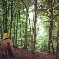 camping-birkelt-larochette-rf7xn