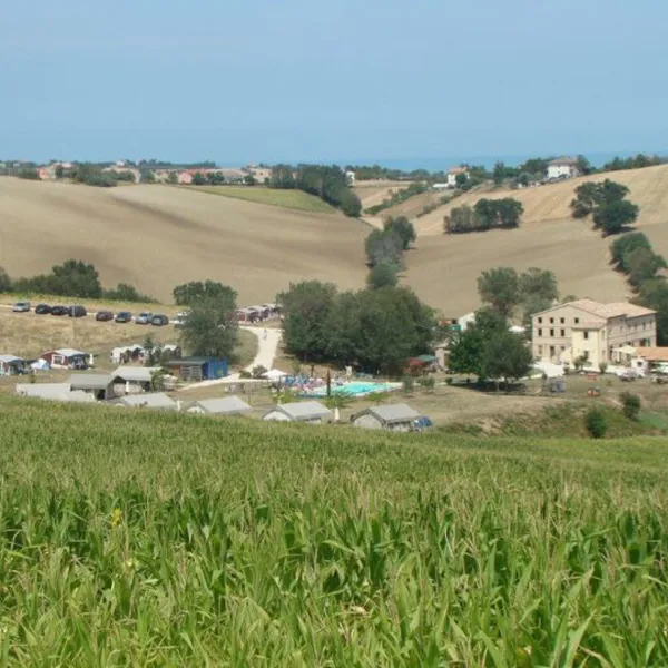 camping-tenuta-tredici-ulivi-san-silvestro-5j4ec