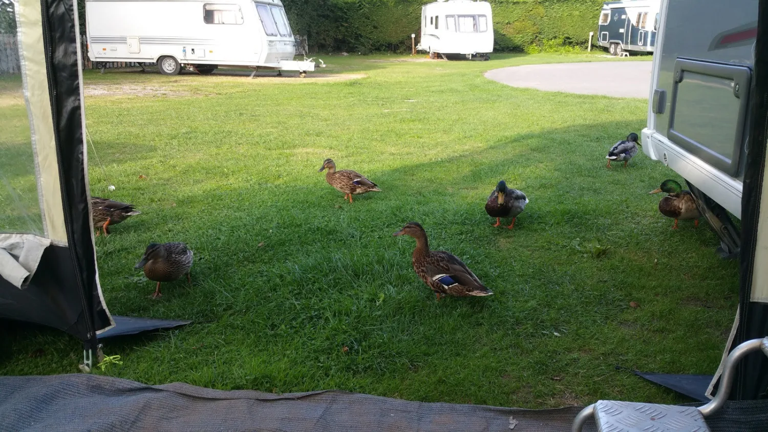 mill-farm-caravan-and-camping-park-bridgwater-pd2bb