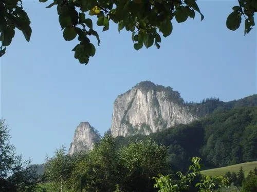 camping-auwirt-hallein-vicax