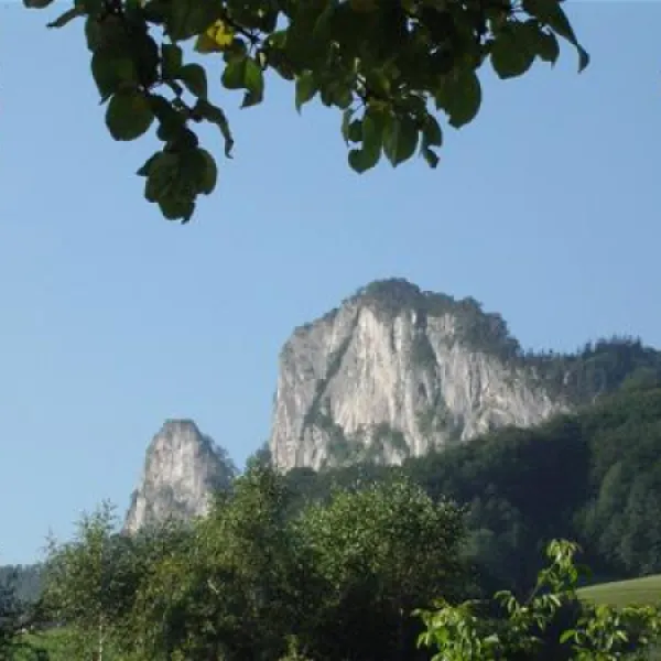 camping-auwirt-hallein-vicax