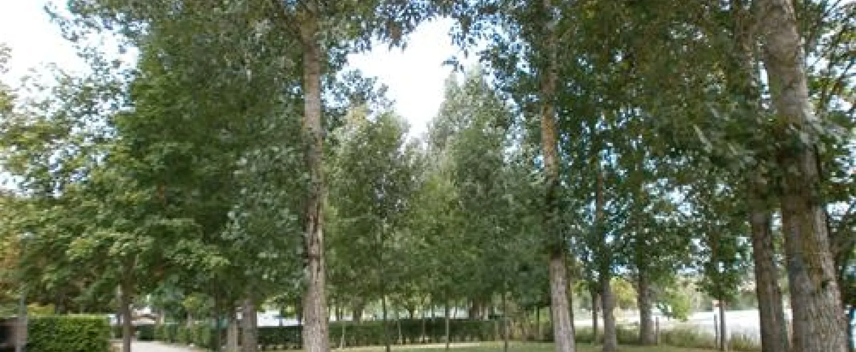 Camping Municipal De Fontclaire