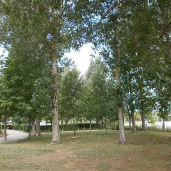 camping-municipal-de-fontclaire-puivert-6tfv8